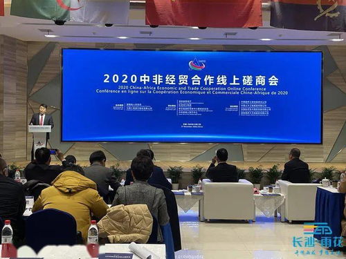 中非經貿合作新篇章 2020線上磋商會在雨花區成功舉辦，共繪企業‘交友結親’新藍圖